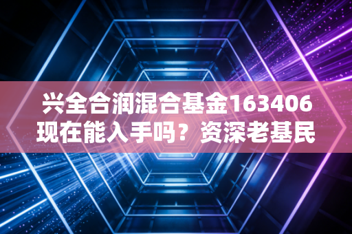 兴全合润混合基金163406现在能入手吗？资深老基民分享操作技巧！