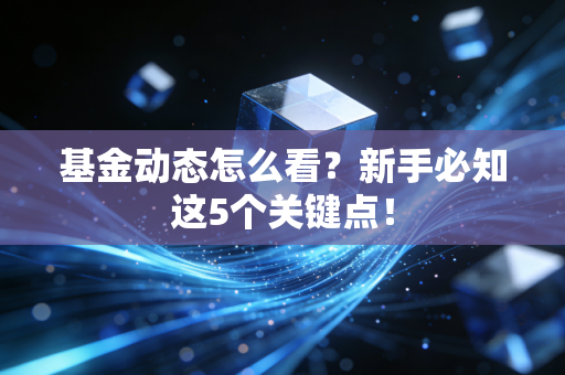 基金动态怎么看？新手必知这5个关键点！
