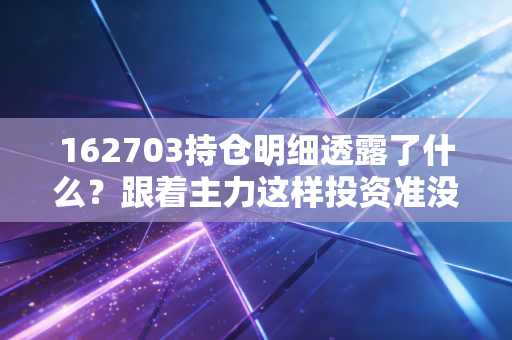 162703持仓明细透露了什么？跟着主力这样投资准没错！