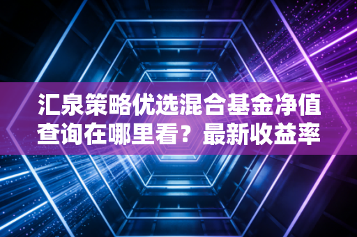 汇泉策略优选混合基金净值查询在哪里看？最新收益率分析