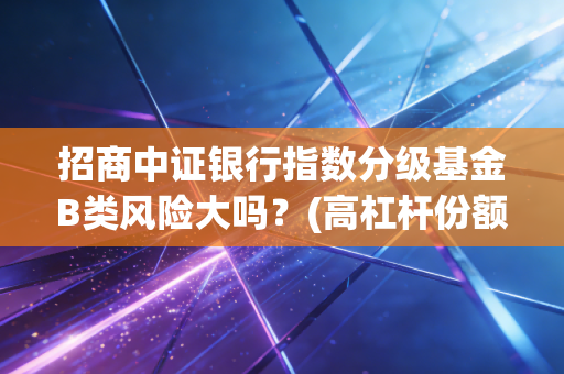 招商中证银行指数分级基金B类风险大吗？(高杠杆份额小白别碰)