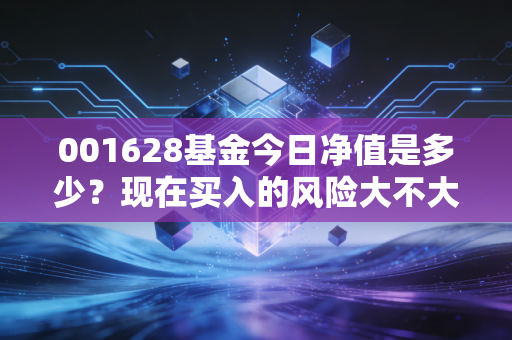001628基金今日净值是多少？现在买入的风险大不大？