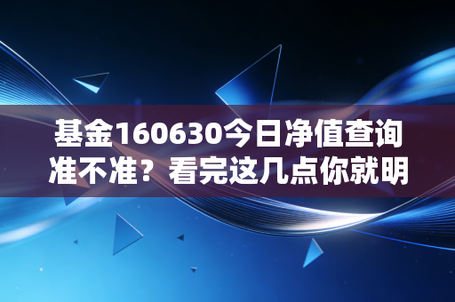 基金160630今日净值查询准不准？看完这几点你就明白了！