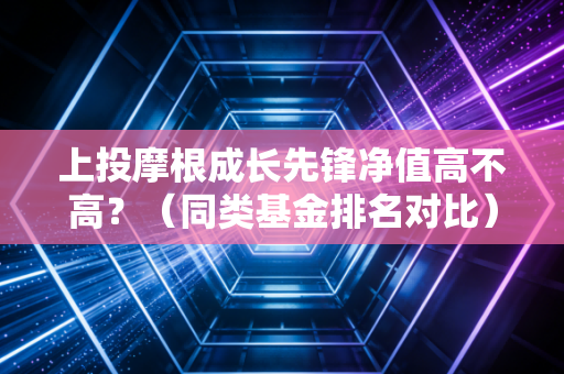 上投摩根成长先锋净值高不高？（同类基金排名对比）