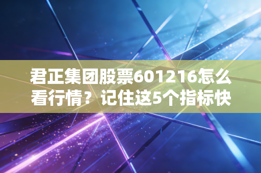 君正集团股票601216怎么看行情？记住这5个指标快速入门！