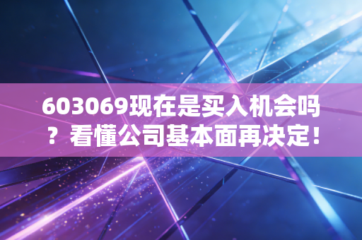603069现在是买入机会吗？看懂公司基本面再决定！
