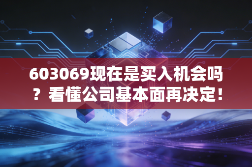 603069现在是买入机会吗？看懂公司基本面再决定！