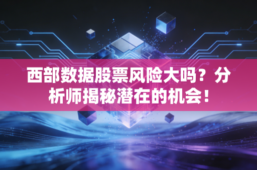 西部数据股票风险大吗？分析师揭秘潜在的机会！