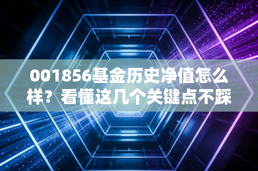 001856基金历史净值怎么样？看懂这几个关键点不踩雷！