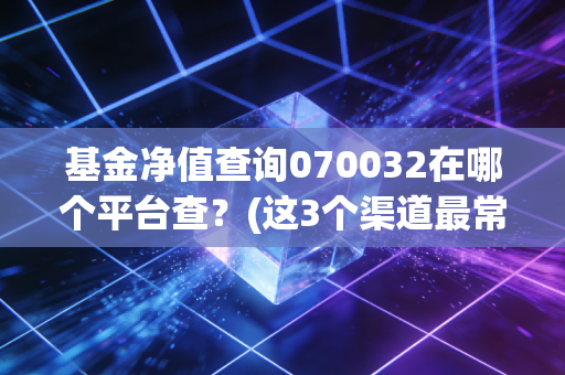 基金净值查询070032在哪个平台查？(这3个渠道最常用)
