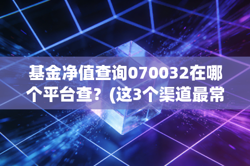 基金净值查询070032在哪个平台查？(这3个渠道最常用)