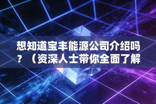 想知道宝丰能源公司介绍吗？（资深人士带你全面了解）