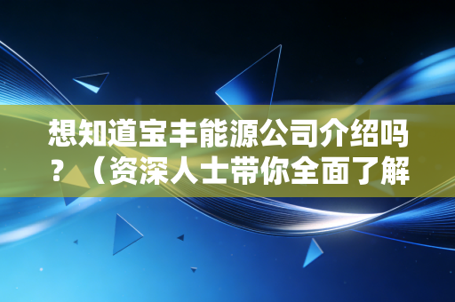 想知道宝丰能源公司介绍吗?(资深人士带你全面了解)