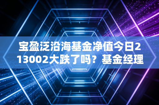 宝盈泛沿海基金净值今日213002大跌了吗？基金经理告诉你原因！