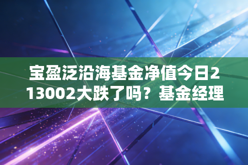 宝盈泛沿海基金净值今日213002大跌了吗？基金经理告诉你原因！