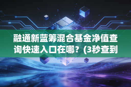 融通新蓝筹混合基金净值查询快速入口在哪？(3秒查到最快方法)