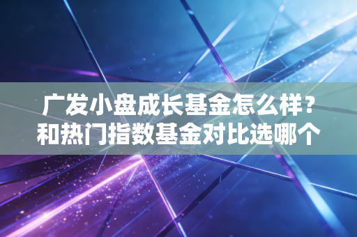 广发小盘成长基金怎么样？和热门指数基金对比选哪个？