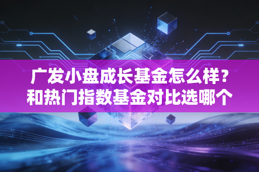 广发小盘成长基金怎么样？和热门指数基金对比选哪个？
