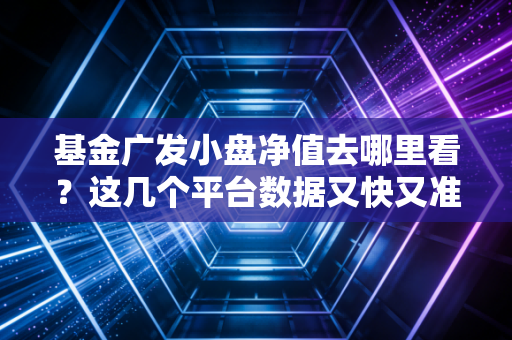 基金广发小盘净值去哪里看？这几个平台数据又快又准确！