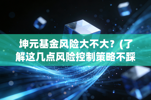 坤元基金风险大不大？(了解这几点风险控制策略不踩雷)