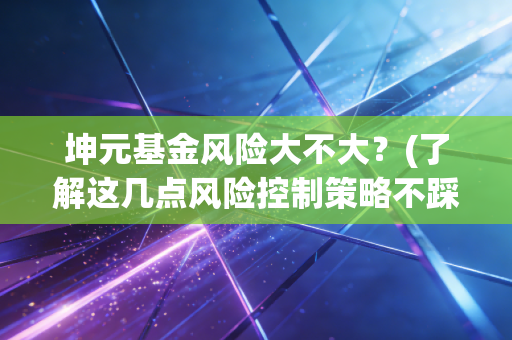 坤元基金风险大不大？(了解这几点风险控制策略不踩雷)