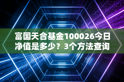 富国天合基金100026今日净值是多少？3个方法查询最快最准！