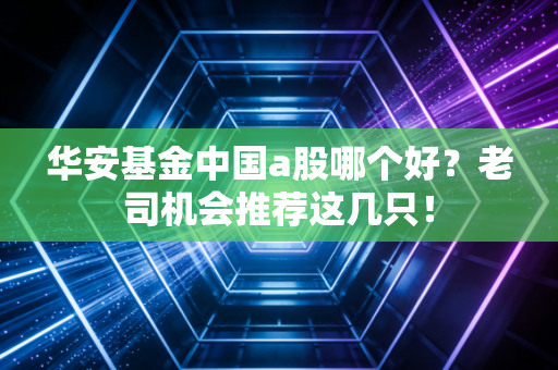 华安基金中国a股哪个好？老司机会推荐这几只！