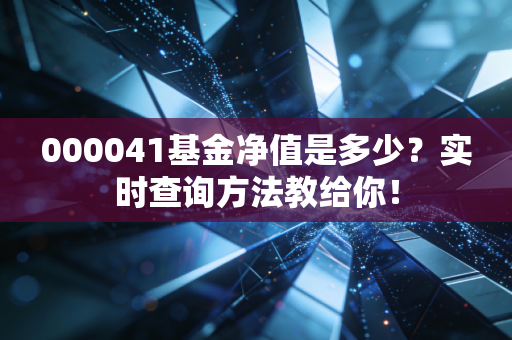 000041基金净值是多少？实时查询方法教给你！