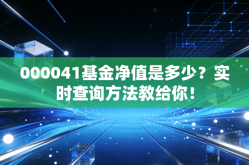 000041基金净值是多少？实时查询方法教给你！