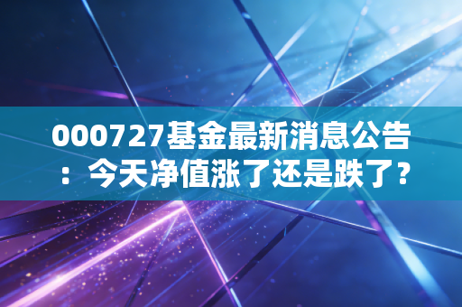 000727基金最新消息公告：今天净值涨了还是跌了？