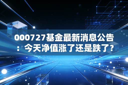 000727基金最新消息公告：今天净值涨了还是跌了？