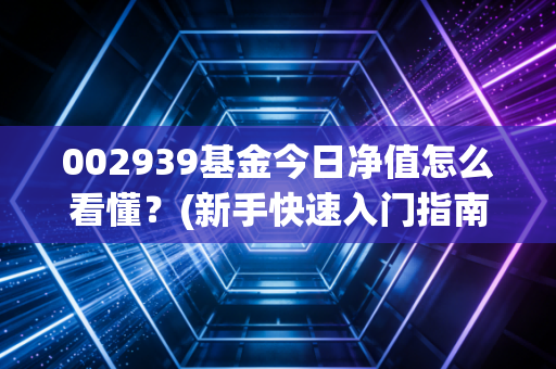 002939基金今日净值怎么看懂？(新手快速入门指南)
