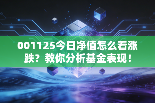 001125今日净值怎么看涨跌？教你分析基金表现！