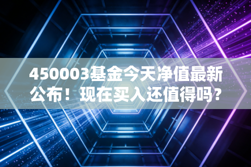 450003基金今天净值最新公布！现在买入还值得吗？