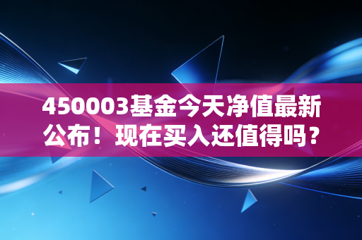 450003基金今天净值最新公布！现在买入还值得吗？