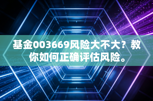 基金003669风险大不大？教你如何正确评估风险。