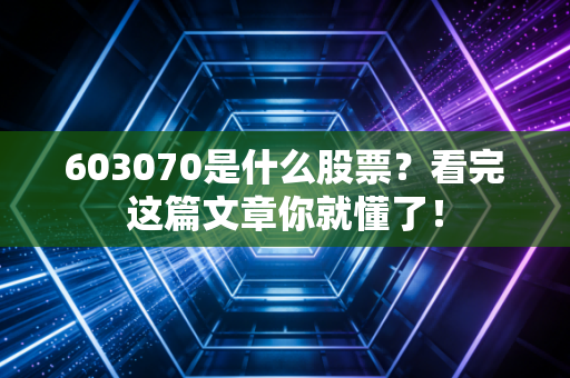 603070是什么股票？看完这篇文章你就懂了！