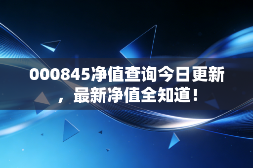 000845净值查询今日更新，最新净值全知道！