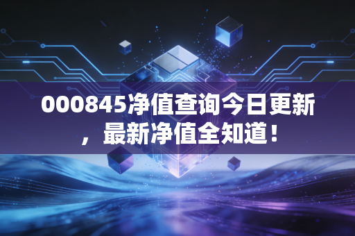 000845净值查询今日更新，最新净值全知道！