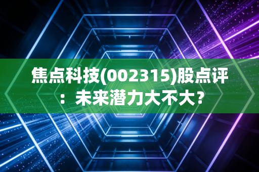 焦点科技(002315)股点评：未来潜力大不大？
