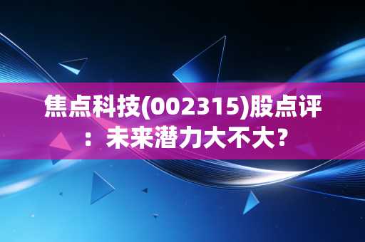 焦点科技(002315)股点评：未来潜力大不大？