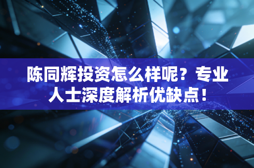 陈同辉投资怎么样呢？专业人士深度解析优缺点！