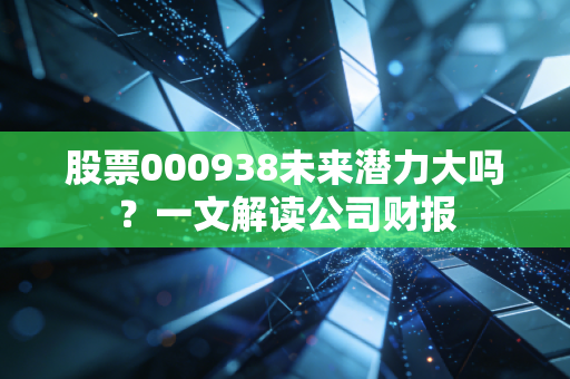 股票000938未来潜力大吗？一文解读公司财报