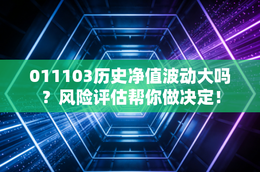 011103历史净值波动大吗？风险评估帮你做决定！