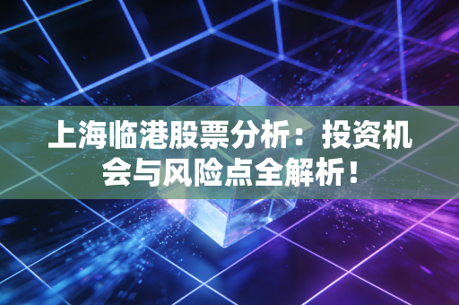 上海临港股票分析:投资机会与风险点全解析!
