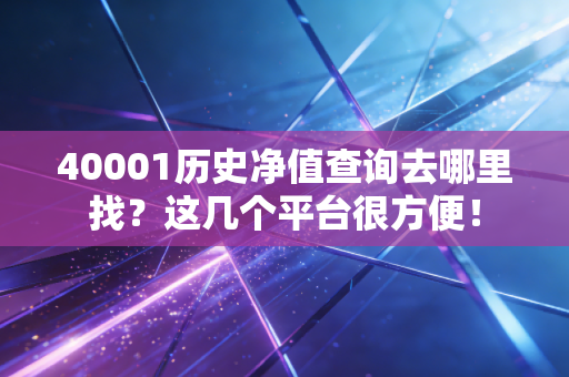40001历史净值查询去哪里找？这几个平台很方便！