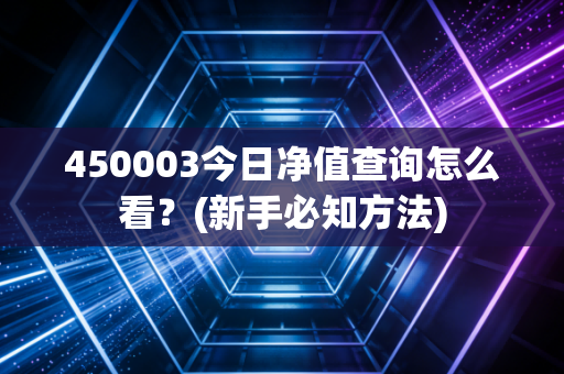 450003今日净值查询怎么看？(新手必知方法)