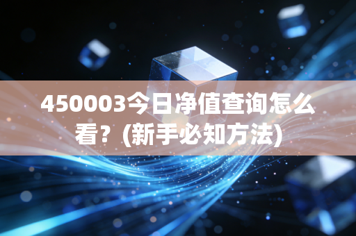 450003今日净值查询怎么看？(新手必知方法)