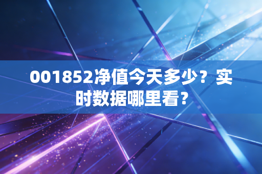 001852净值今天多少？实时数据哪里看？