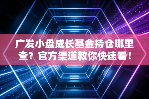 广发小盘成长基金持仓哪里查？官方渠道教你快速看！